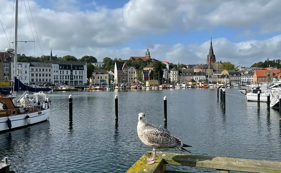Blick auf den Flensburger Hafen. Foto von WirNatur auf Unsplash.